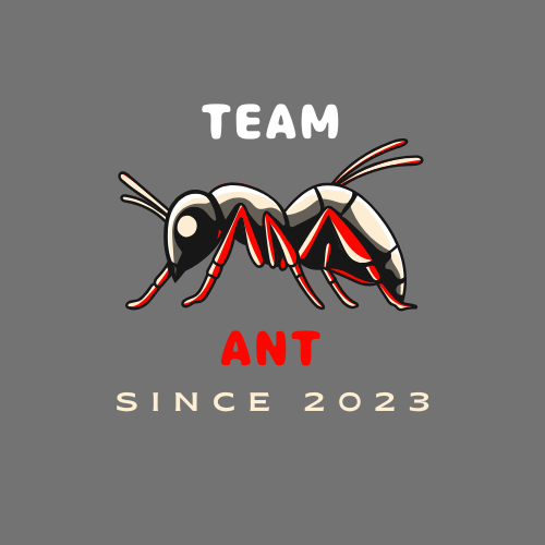 Ant team