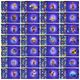 Thumbnail 14