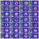 Thumbnail 12