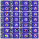 Thumbnail 13