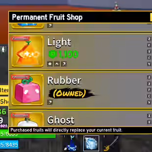 Lv 1539 | Human Race | Pole (1st Form), Rengoku, Saber, Flail | Strong Fruit Storage (Gravity, Phoenix, Sound, Lightning - Image 1