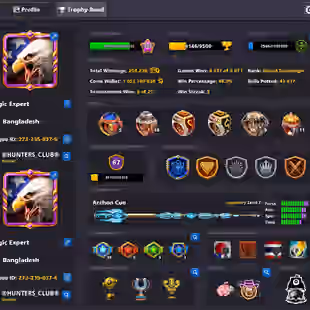 337 LEVEL ACCOUNT | 1 Billion Coins | CCP 67 | 20 Legendary Cues | VIP Emerald | Login Miniclip | Final Warning - Image 1