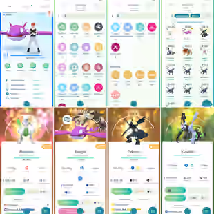 PVP ACCOUNT 💎 LOS ANGELES BG XERNEAS 100 💎 34 SHINY LEGENDARY [] 349 LEGENDARY [] 382 SHINY [] RENAME AVAILABLE [] 48  - Image 1