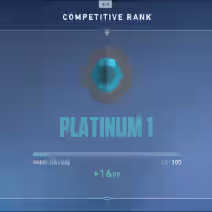 Platinum 1  0 Skins Email Changeable  - Image 1