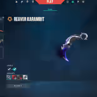 NA 84 skins | Reaver Karambit | RGX 11z Pro Firefly | RGX 11z Pro Vandal | Glitchpop Vandal | Elderflame Vandal | Chrono - Image 1