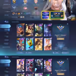 Expert Collector 1 171 Skins Max Emblems iOS Android Playable - Image 1