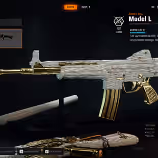 BO6 | 13 DIAMOND CAMO AR SMGs | 13 GUNS ALMOST MAX | LEVEL 55 | 13 GOLD CAMO | 17 OPERATORS | LINKABLE TO ALL PLATFORMS - Image 9