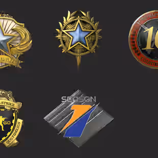 CS2 8 MEDALS 2017 | 2018 | 2020 | 10 Year Veteran | 5 Year Veteran | Global Offensive Badge |... ! MKG03764 - Image 2