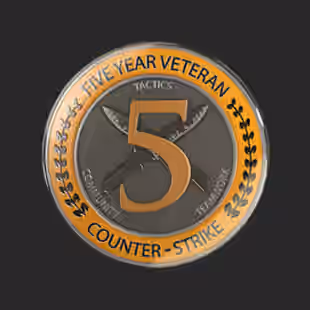 CS2 4 MEDALS 2017 | 5 Year Veteran | Global Offensive Badge | Loyalty Badge Instant Deliver... ! MKG03776 - Image 2