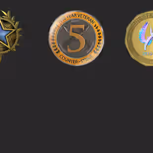 CS2 6 MEDALS 2017 | 2020 | 5 Year Veteran | Global Offensive Badge | Loyalty Badge | Premie... ! MKG03787 - Image 2