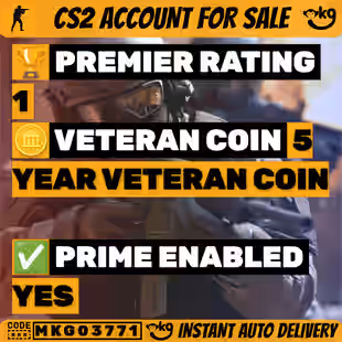 CS2 6 MEDALS 2019 | 2020 | 2021 | 5 Year Veteran | Global Offensive Badge | Loyalty Badge I... ! MKG03771 - Image 1