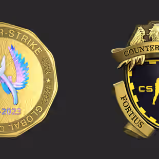 CS2 4 MEDALS 10 Year Veteran | 5 Year Veteran | Global Offensive Badge | Loyalty Badge In... ! MKG03781 - Image 1