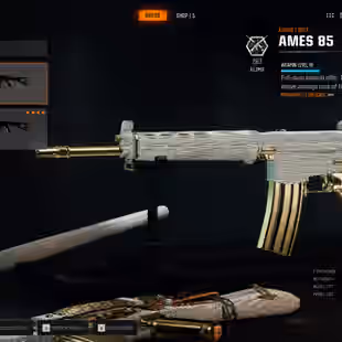 BO6 | 13 DIAMOND CAMO AR SMGs | 13 GUNS ALMOST MAX | LEVEL 55 | 50 WINS | 13 GOLD | 17 OPERATORS | STEAM PSN XBOX B.NET - Image 8