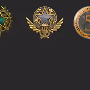 CS2 6 MEDALS 2019 | 2020 | 2021 | 5 Year Veteran | Global Offensive Badge | Loyalty Badge I... ! MKG03771 - Image 2