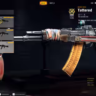 Purchased BO6 | Good Weapons | Wild Mannered Assault Rifle - Image 5