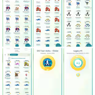 PVP ML 💎 SHINY LBG CHARIZARD 💎 CROWN SWORD ZACIAN bg n ZAMZENTA [] 587 SHINY [] 366 LEGENDARY [] 20 SL [] LVL 66  - Image 16