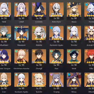 115x5 AMERICA SERVER | 74x5 Genshin | 41x5 HSR | Skirk | Citlali | Arlecchino | Furina C1 | Wanderer | Raiden | instant - Image 10
