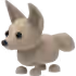 Fennec Fox
