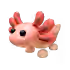 Axolotl