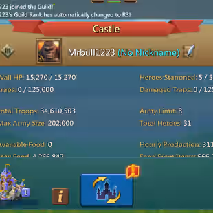 (T5) - Vip 15 - ATK 610+ |  cup gold - lots of resources - Pet 5 Skill Lv.10 | many Holy Stars | many speed up - 60Dwolf - Image 2