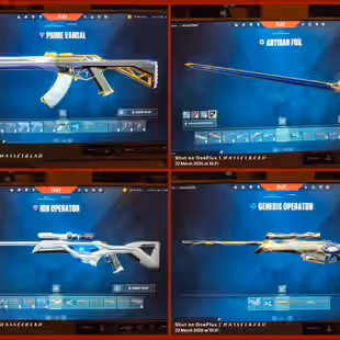 RANK - GOLD| REGION Asian | AGENTS - 16 | SKINS - 22 - Image 4
