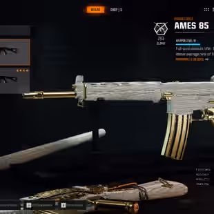 BO6 | 13 DIAMOND CAMO AR SMGs | 13 GUNS ALMOST MAX | LEVEL 55 | 13 GOLD CAMO | 17 OPERATORS | LINKABLE TO ALL PLATFORMS - Image 12