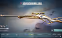 Thumbnail 27