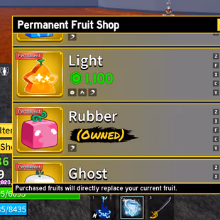 Lv 1539 | Human Race | Pole (1st Form), Rengoku, Saber, Flail | Strong Fruit Storage (Gravity, Phoenix, Sound, Lightning - Image 1