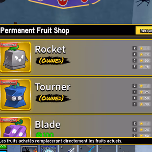 Blox Fruits | Lv.2553 | 11.6M Bounty | 8 Permanent Fruits Portal, Buddha, Tremor, Mammoth, Flame, Rocket, Smoke, Tourner - Image 8