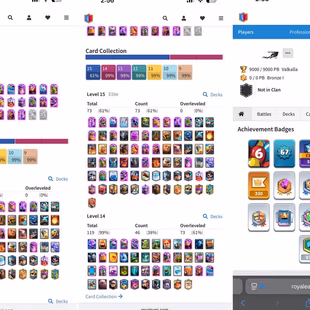 FULL EVOS [] 73 ELITE [] 119 MAX CARDS [] 58 TOWER SKINS [] 261 EMOTES [] LVL 67 [] 3675 GEMS [] ARENA 23 | 67 Xp - Image 2