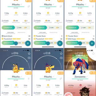 2 LUGARIO PIKACHU - 36 COSTUME - LEVEL 39 [] LEGENDARY 189 []  SHINY 69 [] POKEMON 964 []  RENAME- YES [] TEAM VALOR - Image 8