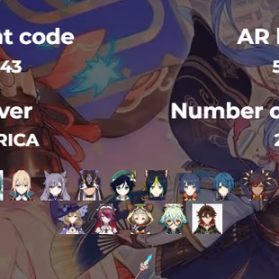 R157-America-AR157-Raiden Shogun-Ayaka-Zhongli-Jean-Keqing-Cyno-Venti-Tighnari-Xiangling - Image 2