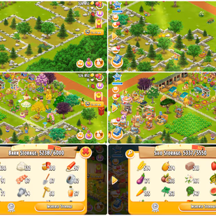 Valuable Farm-Level[160]-Land Permit Open-Fish Area Max-Barn Storage[6000]-Silo Storage[5550]-527kCoin-Town Animal[13x] - Image 1