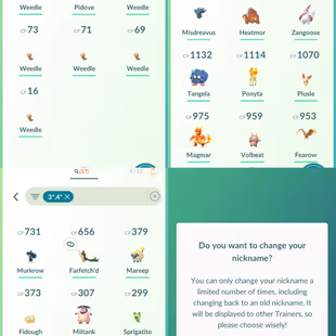 17] LEVEL 26 YEAR 2025 | 350 ITEMS STORAGE | 300 POKEMONS | NAME CHANGE FREE | INSTANT DELIVERY - Image 6