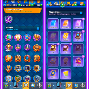 70 LVL | 119 MAX | 115 ELITE | 35 EVO | 9 YEAR OLD | FIRST RP EMOTES | STACKED BANNERS | INSTANT DELIVERY - Image 8