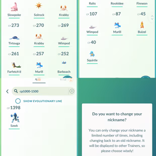 19] LEVEL 25 YEAR 2025 | 350 ITEMS STORAGE | 300 POKEMONS | NAME CHANGE FREE | INSTANT DELIVERY - Image 7