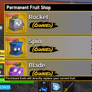 Lv 1539 | Human Race | Pole (1st Form), Rengoku, Saber, Flail | Strong Fruit Storage (Gravity, Phoenix, Sound, Lightning - Image 4