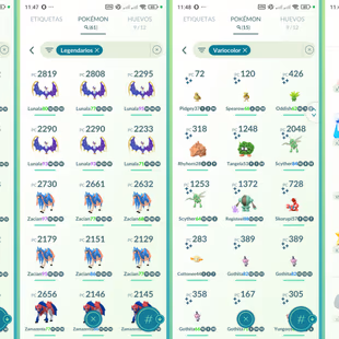 Level 50 [Hundo Groudon] 61 Legendary|Solgaleo|Lunala|Zacian|Zamazenta|Blacephalon|Team Mystic|505 - Image 5