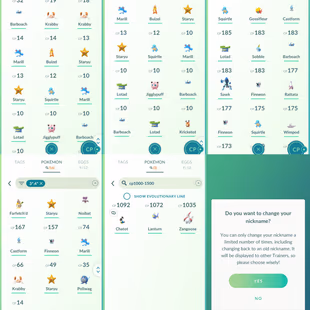 20] LEVEL 26 YEAR 2025 | 1 SHINY | 350 ITEMS STORAGE | 300 POKEMONS | NAME CHANGE FREE | INSTANT DELIVERY - Image 8