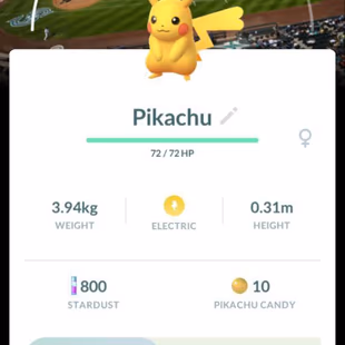 C16]Level 17]2 Legendary ]1 Shiny legendary]1 Background Pikachu]300 Pokemon bag]Bag Items 350 ]Starter Account - Image 3