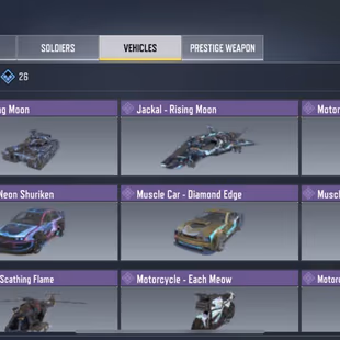 LEVEL 74 [] LEGENDARY 0 [] EPIC GUN 22 [] GUN COLLECTION 87 [] EPIC SOLDIERS 9 [] VEHICLES 35 - Image 4