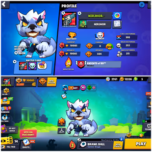 39 Brawler||Trophy 10k||WHITE WOLF LEON SKIN||Max brawler 4||Crow.Leon||Hayperchrad 3||Skin 27||10k Coin||128 Gem's|| - Image 1