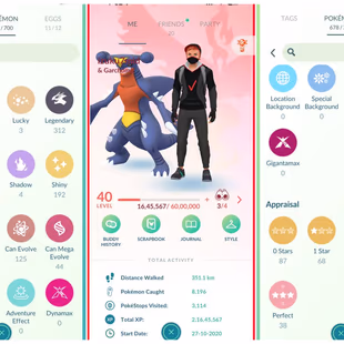 22 SHINY LEG [] LEVEL 40 [] LEGENDARY 312 [] SHINY 192 [] POKEMON 678 [] RENAME- YES [] TEAM VALOR - Image 2