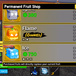 Lv 1539 | Human Race | Pole (1st Form), Rengoku, Saber, Flail | Strong Fruit Storage (Gravity, Phoenix, Sound, Lightning - Image 3