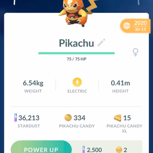 🔥RARE GENGAR COSTUME 💎 LEGENDARY 156 [] SHINY 84 [] POKEMON 608 [] 18 DMAX [] MYTHICAL SHINY CELEBI [] PIKACHU - Image 6