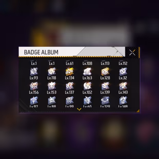 V56|LVL60|141COSTUME(16MYTHIC)|212WEAPON(3EVO+41MYTHIC)|SCORPIOSHATTER-M1014LVLMAX|DRACHEN-FISTLVLMAX|DESTINYGUARDIAN-XM - Image 5