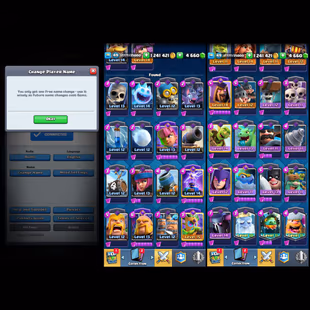 LVL-49! KT-14!! 15x CARDS 14L! 2x CARDS 15L! 6x BIG EVOS! NC FREE! MAGIC ITEM[ 6x WILD SHARD]! 44x EMOTES! FULL ACCESS! - Image 3
