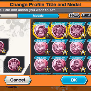 BR295-Hyber 63+6 Ex Max 11k Power(Roger V1+Shank V3+White Beard+Big Mom+Akainu+Zphyr)+Vip Medal+Support 161%+Many BF Max - Image 6