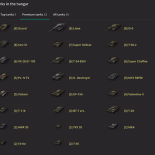 [EU] 5 TIER X | 23 PREMIUM TANK | TOTAL TANKS 65 | 10.167 (46) WINS | 2.070.481 CREDITS | GOLD 3765 | - Image 2