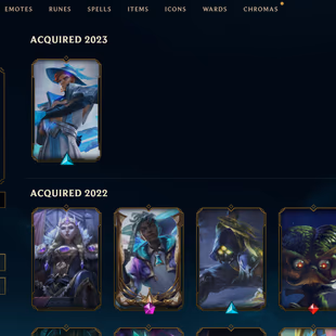 **Ekko/Sylas main** with all skins, boarders, chromas, icons for them - Image 6